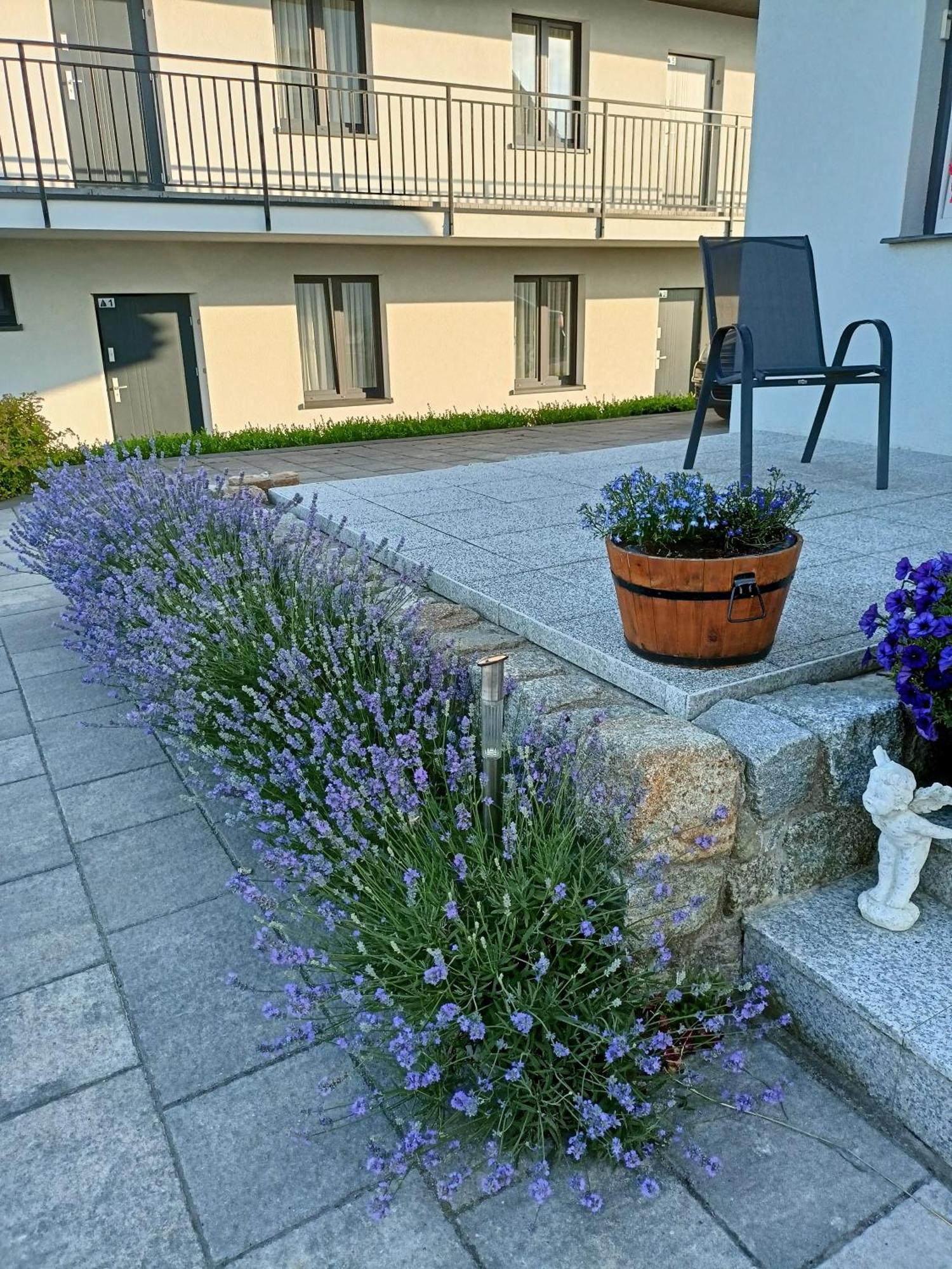 Apartamenty Jasienczyk Mielenko Dış mekan fotoğraf